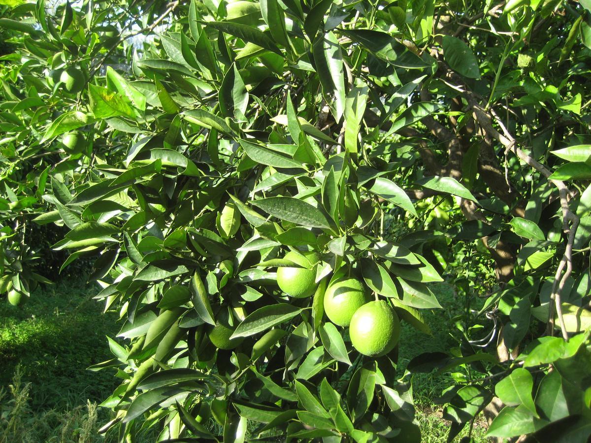Regalbuto Oasi Del Lago מראה חיצוני תמונה