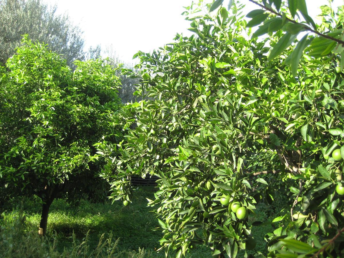 Regalbuto Oasi Del Lago מראה חיצוני תמונה