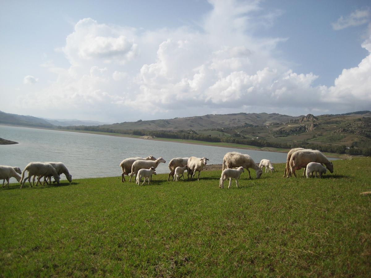 Regalbuto Oasi Del Lago מראה חיצוני תמונה